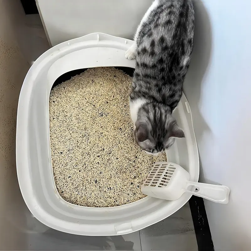 tofu-cat-litter.webp