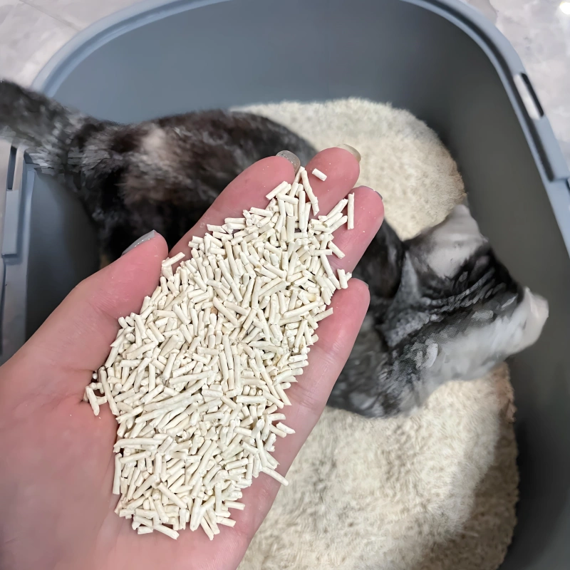 How often to change tofu cat litter？